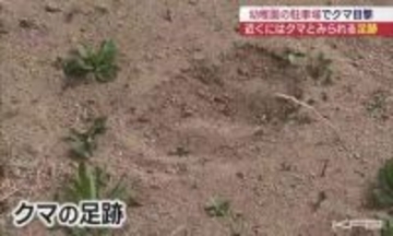 学校や幼稚園の近くに…　須賀川市と鏡石町でクマの目撃相次ぐ（福島）