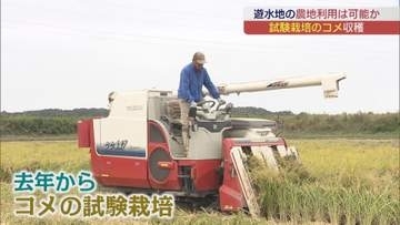 阿武隈川上流に整備中の遊水地　試験ほ場で2回目となる稲の収穫