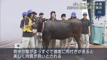 和牛の美しさを競う　福島県品評会開催
