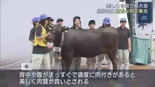 和牛の美しさを競う　福島県品評会開催