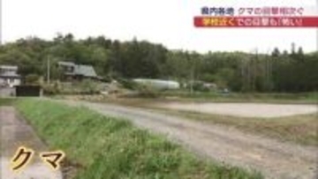 ゴールデンウィーク前に県内でクマの目撃相次ぐ（福島）