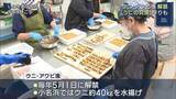 「ウニ・アワビ漁解禁 いわき市で「うにの貝焼」作りも始まる（福島）」の画像1