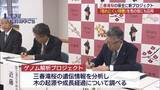 「樹齢1000年超の三春滝桜　ゲノム解析で長生きの秘訣を探り桜の長命化を研究（福島）」の画像1