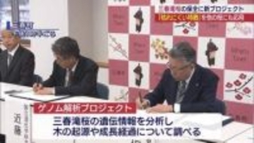 樹齢1000年超の三春滝桜　ゲノム解析で長生きの秘訣を探り桜の長命化を研究（福島）