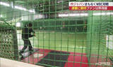 「野球ファンの熱気MAX　WBC初戦直前！バッティングセンターは(福島)」の画像1