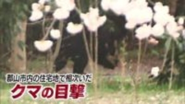郡山の住宅地で相次ぎ目撃されたクマの足取りは　休校する学校も　川沿いの藪に逃げ込み居座る（福島）