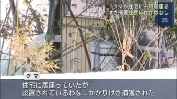 住宅の台所に居座ったクマ　わなにかかってけさ捕獲（福島）