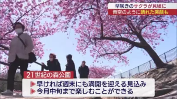 青空のように晴れた笑顔も！いわき市では早くも河津桜が見頃（福島）
