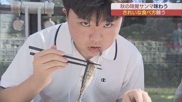 一番きれいに食べるのは誰？サンマをきれいに食べるコンテスト開催