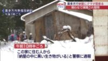 喜多方市の住宅地　クマが納屋に立てこもる（福島）