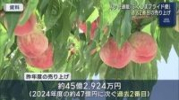 ふくしまプライド便　過去2番目の売り上げ（福島）