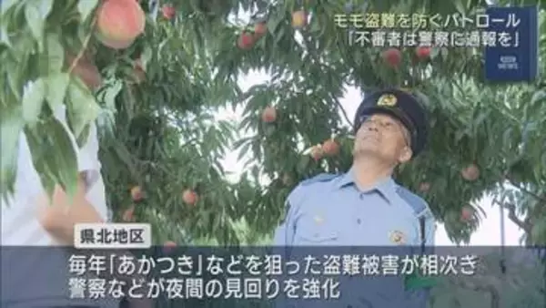 桃の盗難相次ぐ　福島市でパトロール　収穫最盛期に警戒強化