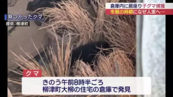 真冬にもかかわらずクマの居座り相次ぐ県内 柳津町の現場は（福島）