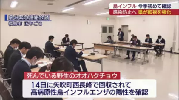 野生のオオハクチョウ　鳥インフルエンザ陽性（福島）