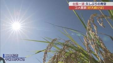 台風一過で久しぶりの晴れ間も　長雨で農家は収穫進まず