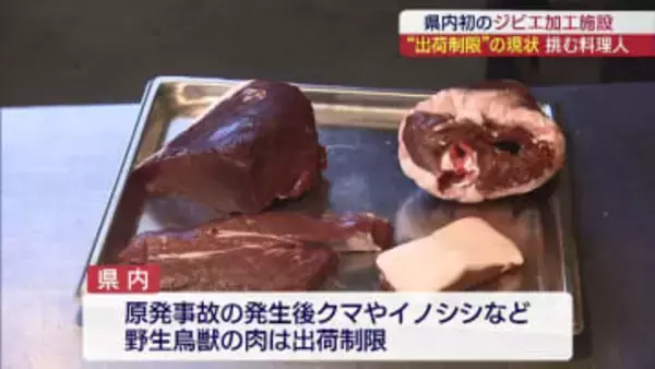 将来的にはクマ対策の一助にも…料理人が挑む県内初のジビエ加工施設（福島）