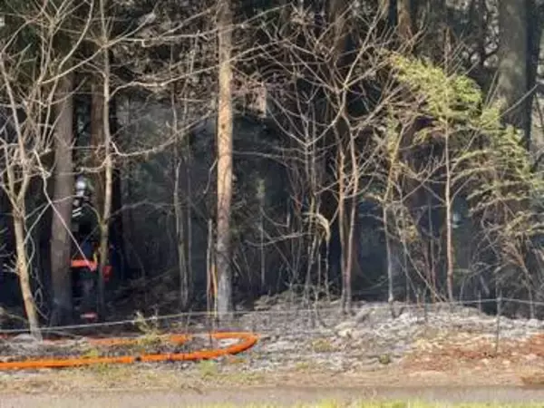 郡山市熱海町の山林で火災発生　午後２時ごろ鎮圧状態に(福島)