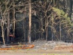 郡山市熱海町の山林で火災発生　午後２時ごろ鎮圧状態に(福島)