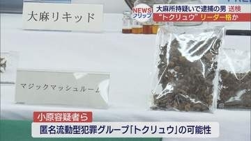大麻所持で逮捕の男　トクリュウのリーダー格か