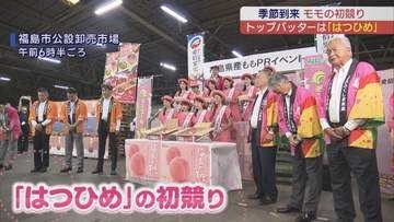 福島のモモ「はつひめ」初競り　10万円で落札　ひょう被害も品質良好