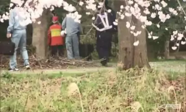 クマの目撃件数が前年を上回る（福島）