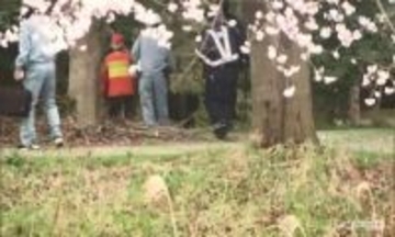 クマの目撃件数が前年を上回る（福島）