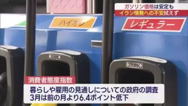 ガソリン価格は安定も中東情勢に不安　ガソリンスタンド店は(福島)
