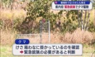 喜多方市で県内初となるクマの緊急銃猟を実施　磐梯町では男性がクマに襲われてけが（福島）