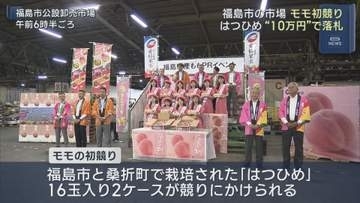 福島県産「はつひめ」初競り　青木フルーツが高値で落札