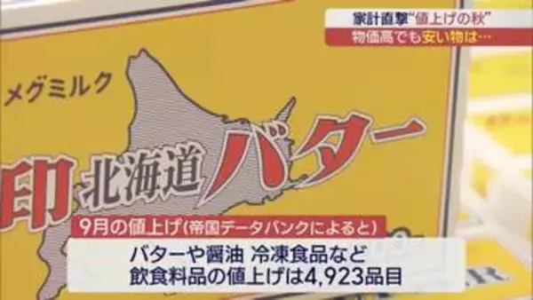 止まらない値上げラッシュ　物価高直撃の家計に優しい食材は?