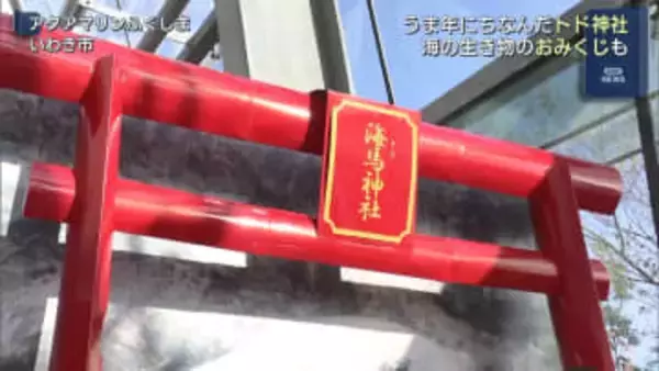 うま年にちなみ…アクアマリンふくしまに「トド神社」お目見え（福島）