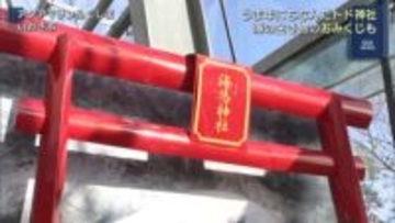 うま年にちなみ…アクアマリンふくしまに「トド神社」お目見え（福島）