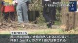 「郡山市の住宅地にクマ　警戒続く（福島）」の画像1