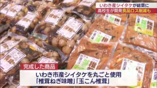 いわき市の高校生が地元産シイタケを使って開発した総菜が店頭に…食品ロス削減にも貢献（福島）