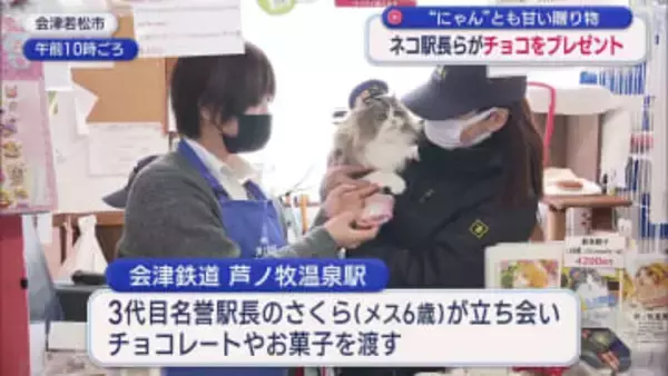 いつもありがとニャン♪　ネコの駅長らがバレンタインチョコをプレゼント（福島）