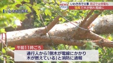 いわき市の山林 強風で倒木 電線に接触して火事か 周辺では停電も