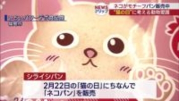 シライシパン『ネコパン試食会』(福島)