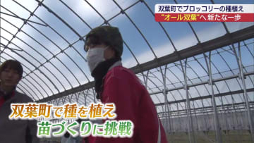 双葉町でブロッコリー栽培　新たな挑戦がスタート（福島）