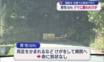 福島市　山菜採りの男性クマに襲われけが（福島）