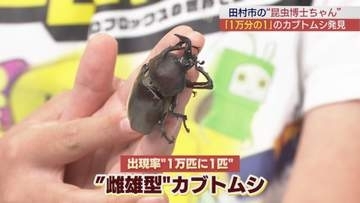 出現率は１万分の１の激レア「カブトムシ」が！　ムシムシランドはシーズン開幕で放虫式