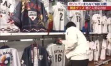 侍ジャパン応援グッズ スポーツ店で売れ行き好調(福島)
