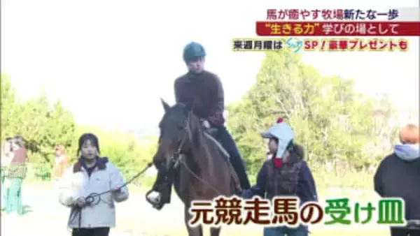 引退した競走馬の受け皿にも　いわき市の牧場が移転オープン（福島）