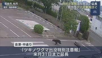 ツキノワグマ出没特別注意報、8月末まで延長　県内目撃件数は昨年の2倍に