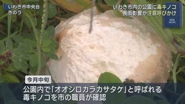 いわき市の公園で毒キノコ目撃相次ぐ　市が注意呼びかけ