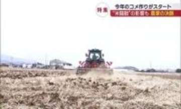令和の米騒動を乗り越え、コメ栽培に挑む農家(福島)