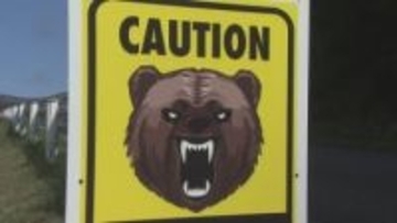 【速報】７０代男性　クマに襲われ顔などにけが　宮城・栗原市