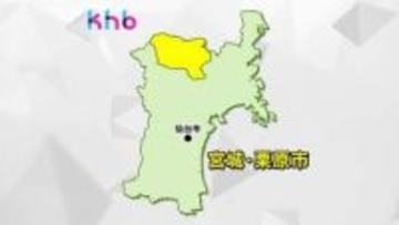 東北道でクマと乗用車が衝突　運転男性にけが無し　宮城・栗原市