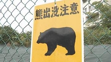 宮城県塩釜市　海近くの公園でクマ目撃　目撃者は車に避難　けが人なし