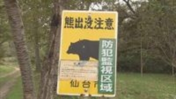 仙台市青葉区の市街地　クマの目撃相次ぐ　警察が警戒呼びかけ