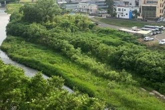 仙台市青葉区・広瀬川河川敷でクマの目撃情報　けが人なし